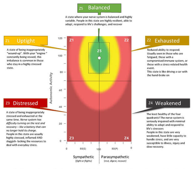 An HRV (Heart Rate Variability) plot showing a patient’s ability to adapt to stress and balance their nervous system.