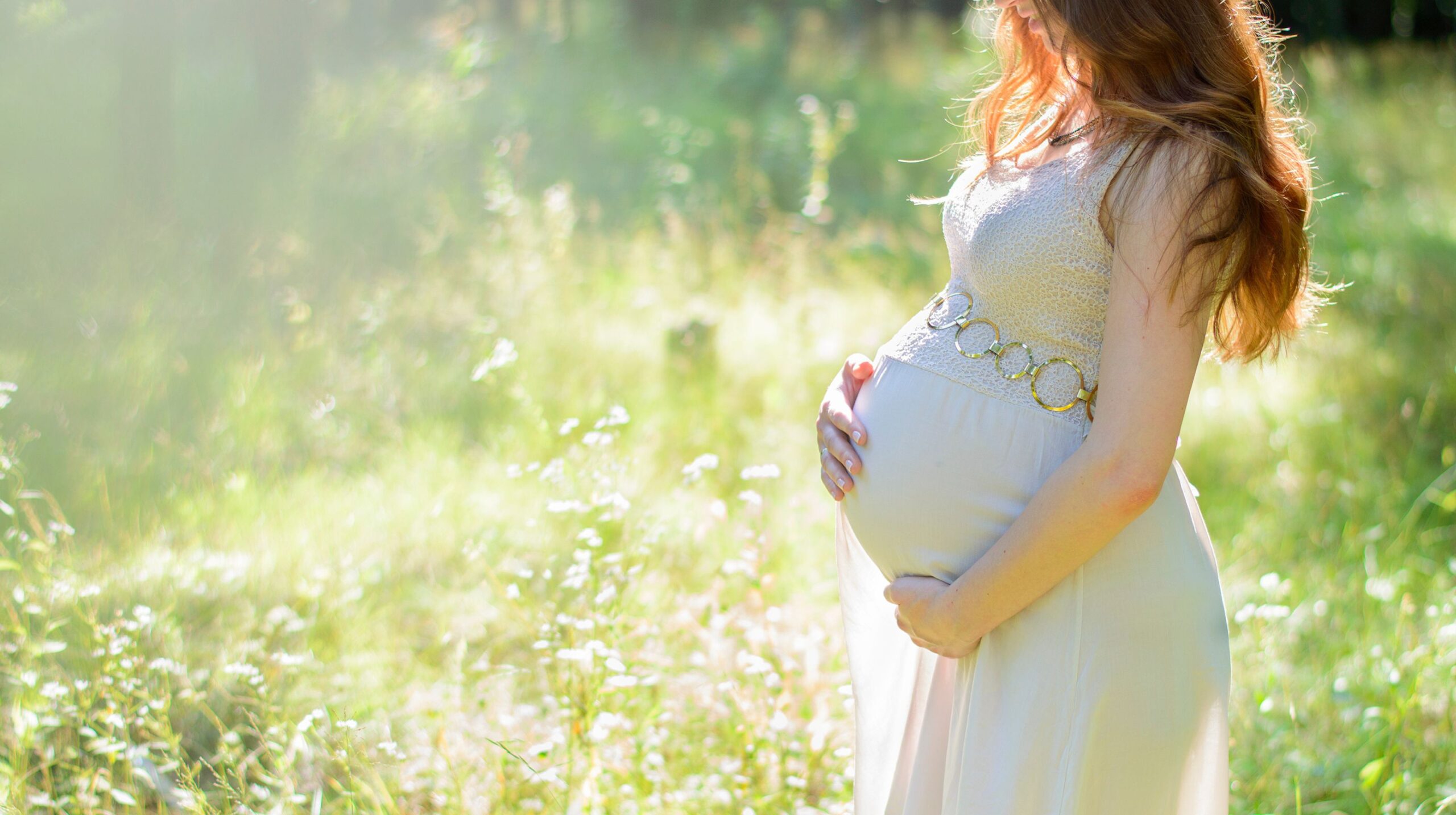 Pregnant woman receiving Webster Technique chiropractic care at The Wellness Path in Knoxville TN